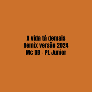 A Vida Tá Demais Remix Versão 2024 (Explicit)