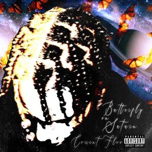 Butterfly on Saturn (Explicit)