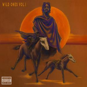 Wild Ones, Vol. 1 (Explicit)