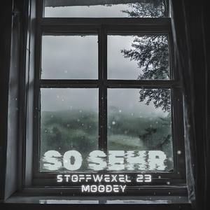 So sehr (Explicit)