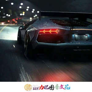 EA7-(经典车载合集)(Dj)