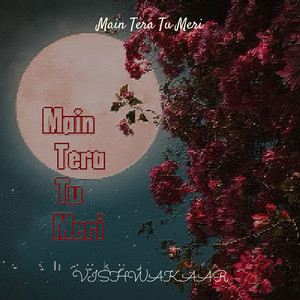 Main Tera Tu Meri