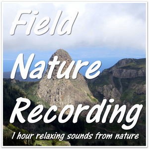 Field Nature Recording (1 hour relaxing sounds from nature)