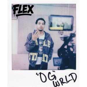 Flex (Explicit)