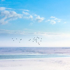 The Calm