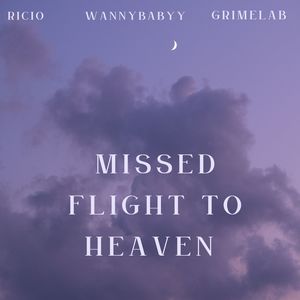 missed flight to heaven