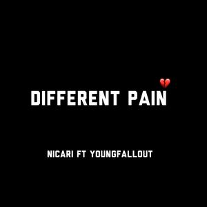 Different Pain (feat. Youngfallout)