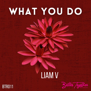 What You Do (Extended Mix)
