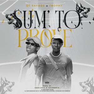 SUM TO PROVE (feat. Trophy) [Explicit]