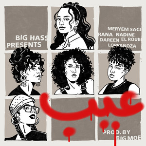 3AIB