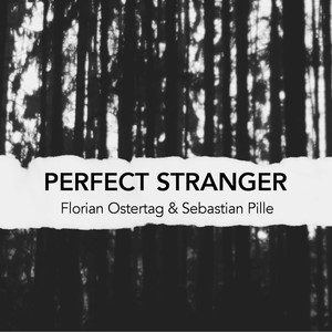 Perfect Stranger