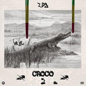 CROCO PROJECT 2