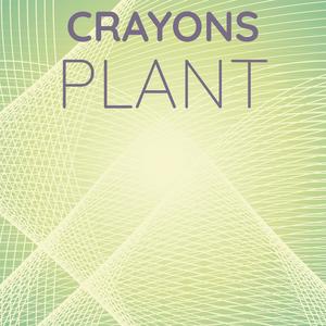 Crayons Plant