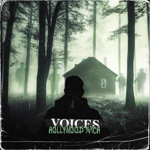 Voices