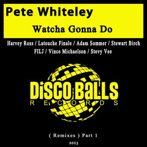 Watcha Gonna Do (Adam Sommer Soulful Remix)