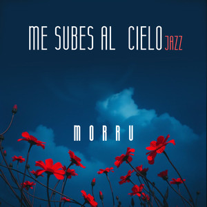 ME SUBES AL CIELO (Remix)