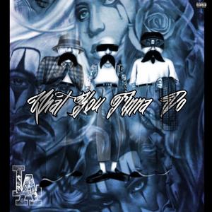 What You Finna Do? (feat. SJTPACO & GueroBanz) (Explicit)