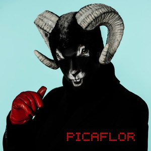 Picaflor