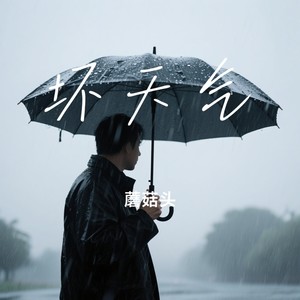 坏天气封面