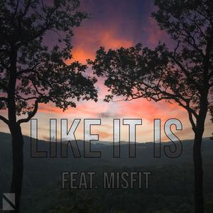 Like It Is (feat. MISFIT)