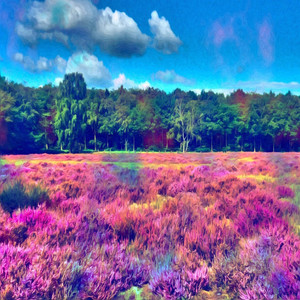 Acid Trip (Explicit)