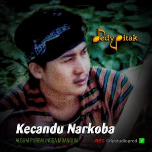 Kecandu Narkoba (feat. @dpstudioprod, Musisi Purbalingga, Jawa Ngapak, Penginyongan, Lagu Jawa, Campursari Koplo, Dangdut Ngapak, Ngapak Purbalingga, DEDY PITAK STUDIO & REC ©dpstudioprod)