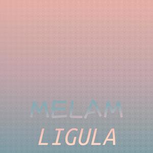 Melam Ligula