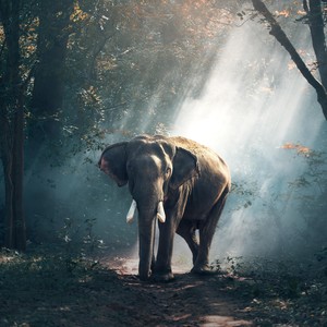 Zanna (feat. Dominik Stuppy) (Radio Edit)