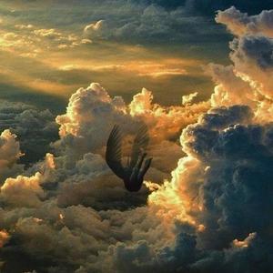 Kleine Schachtel Gold (Explicit)