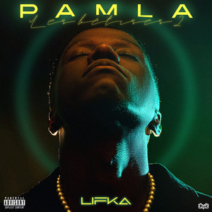 PAMLA (les bêtises 2) (Explicit)