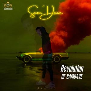 Revolution of Sam Dave