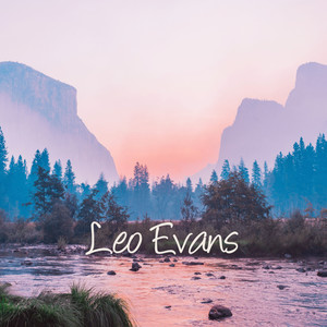 Leo Evans - Steps