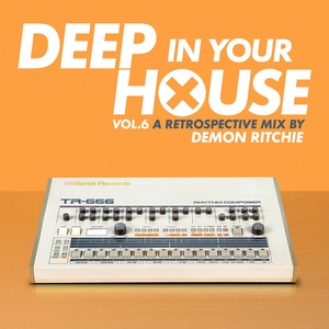 Deep in Your House, Vol. 6 - A Retrospective Mix by Demon Ritchie