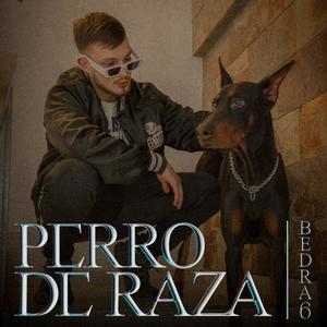 PERRO DE RAZA (Explicit)