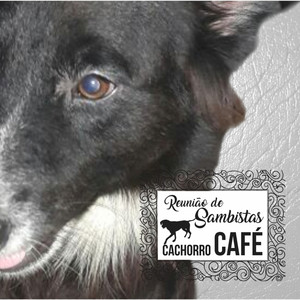 Reunião de Sambistas - Cachorro Café