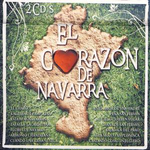 El Corazón De Navarra