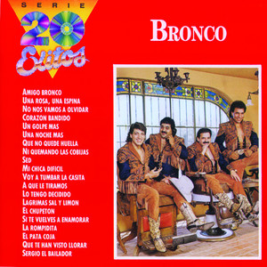 Amigo Bronco