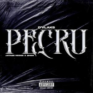 PECRU (feat. 2hsm) (Explicit)