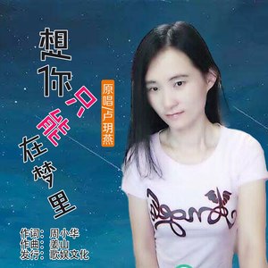 想你只能在梦里