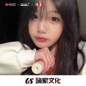 Sopik - 派对中场风格 (DJ版)