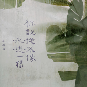 你说“从不”像“永远”一样