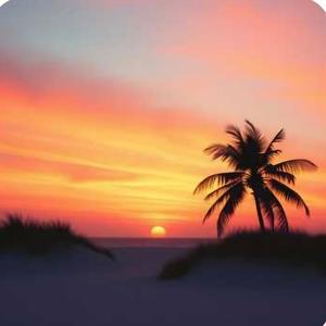 IL RITMO DELL'ESTATE (Explicit)