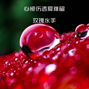 心被伤透爱难留