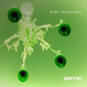 Rise (Remixes)