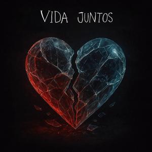 VIDA JUNTOS
