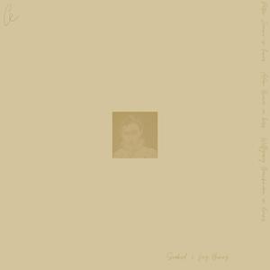 soaked2mybones (feat. Peter Zummo, Adam Brown & Wolfgang Baeckmann)