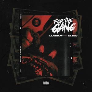For The Gang (feat. Lil BMO) (Explicit)
