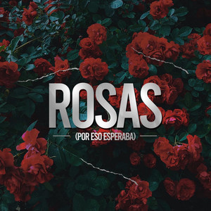 Rosas (Por Eso Esperaba)