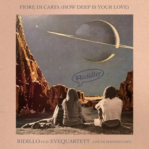 Fiore di carta (How Deep Is Your Love - Live in Mantova 2/8/21)