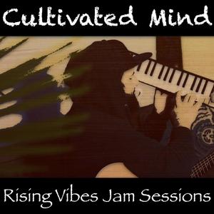 House of Glass (feat. Cultivated Mind) [Live at Rising Vibes Jam Sessions]